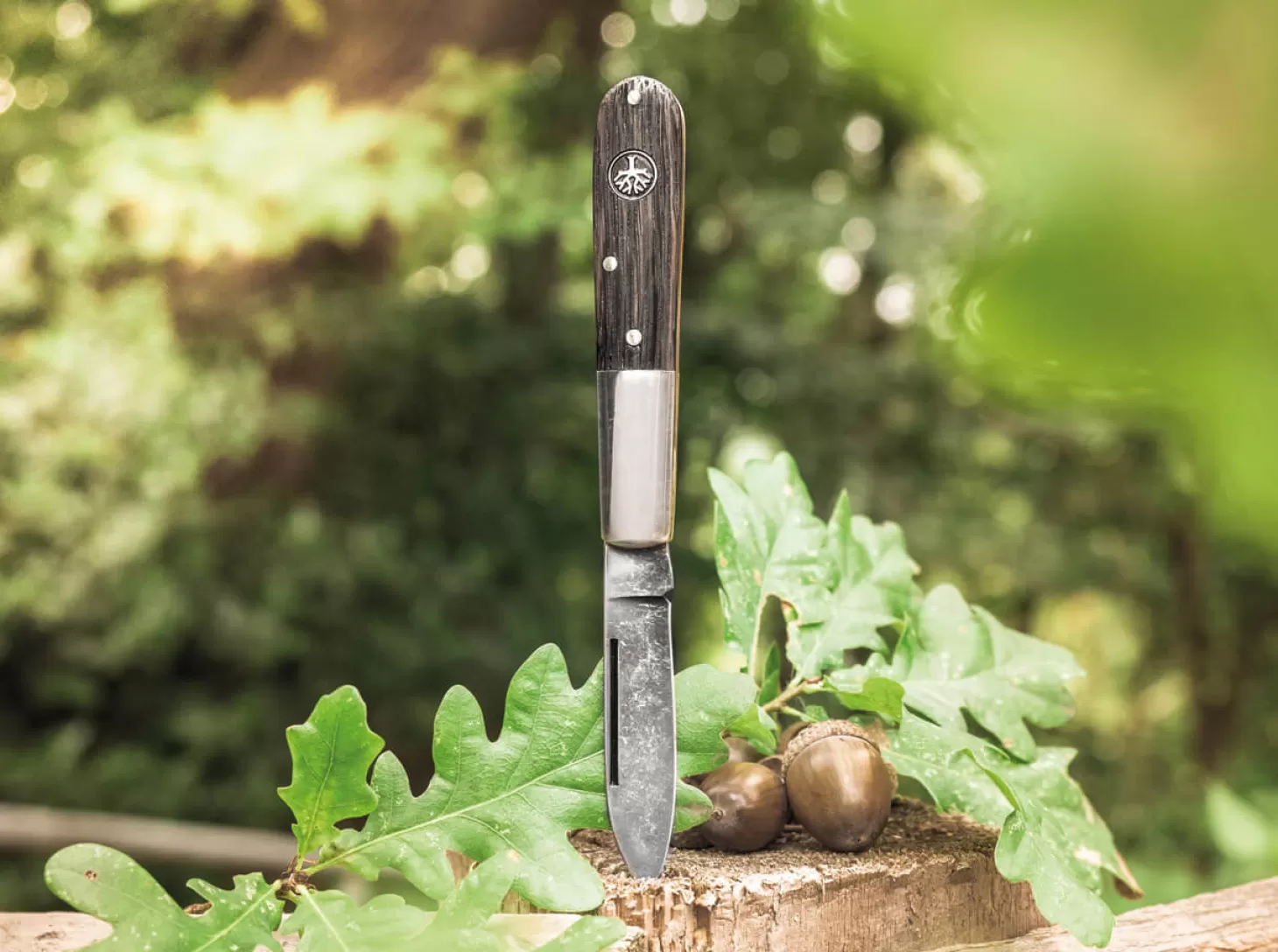 Shop Barlow Oak Tree Slipjoint-Messer