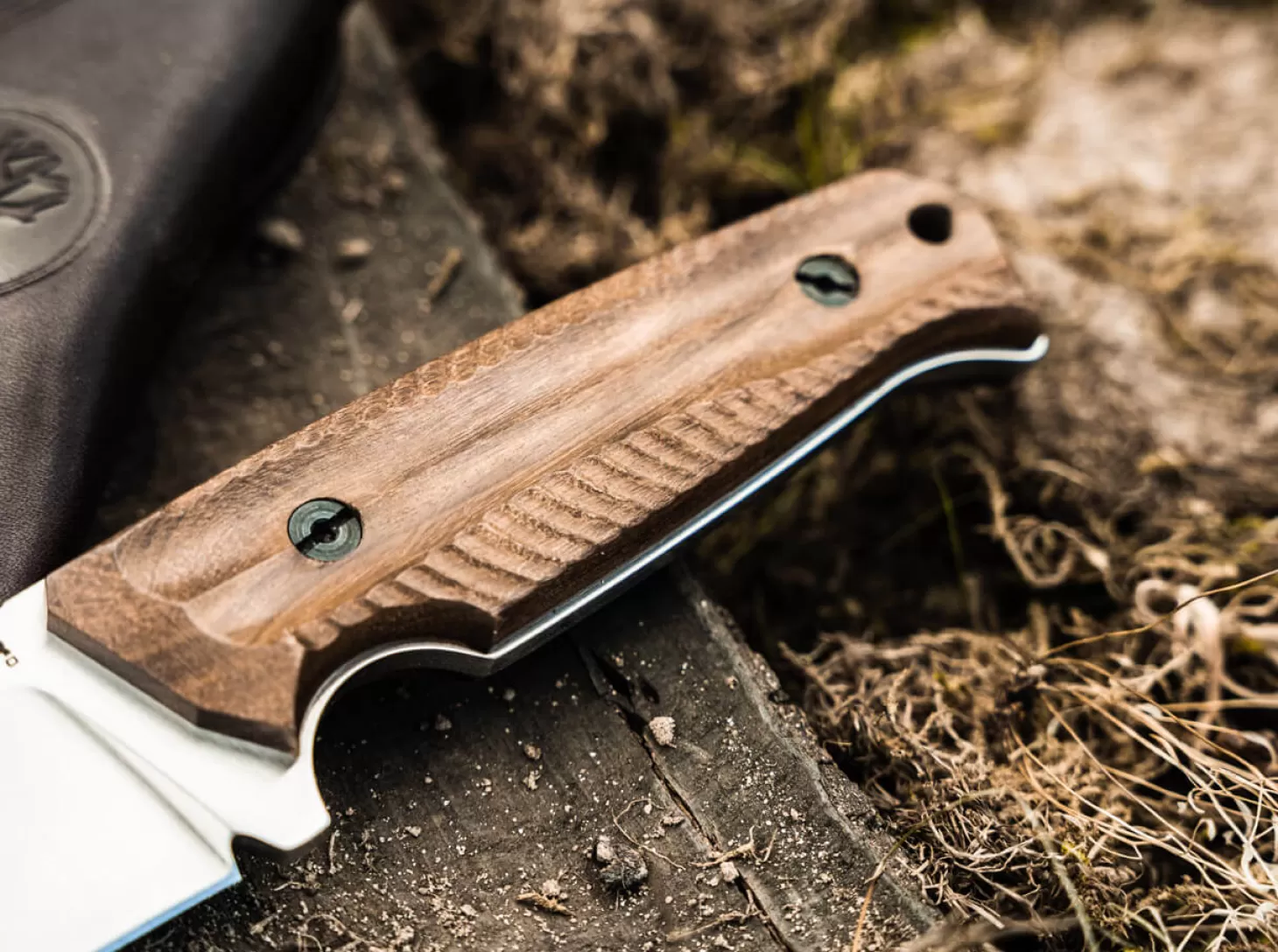 Hot Bison Guayacan 2.0 Jagdmesser