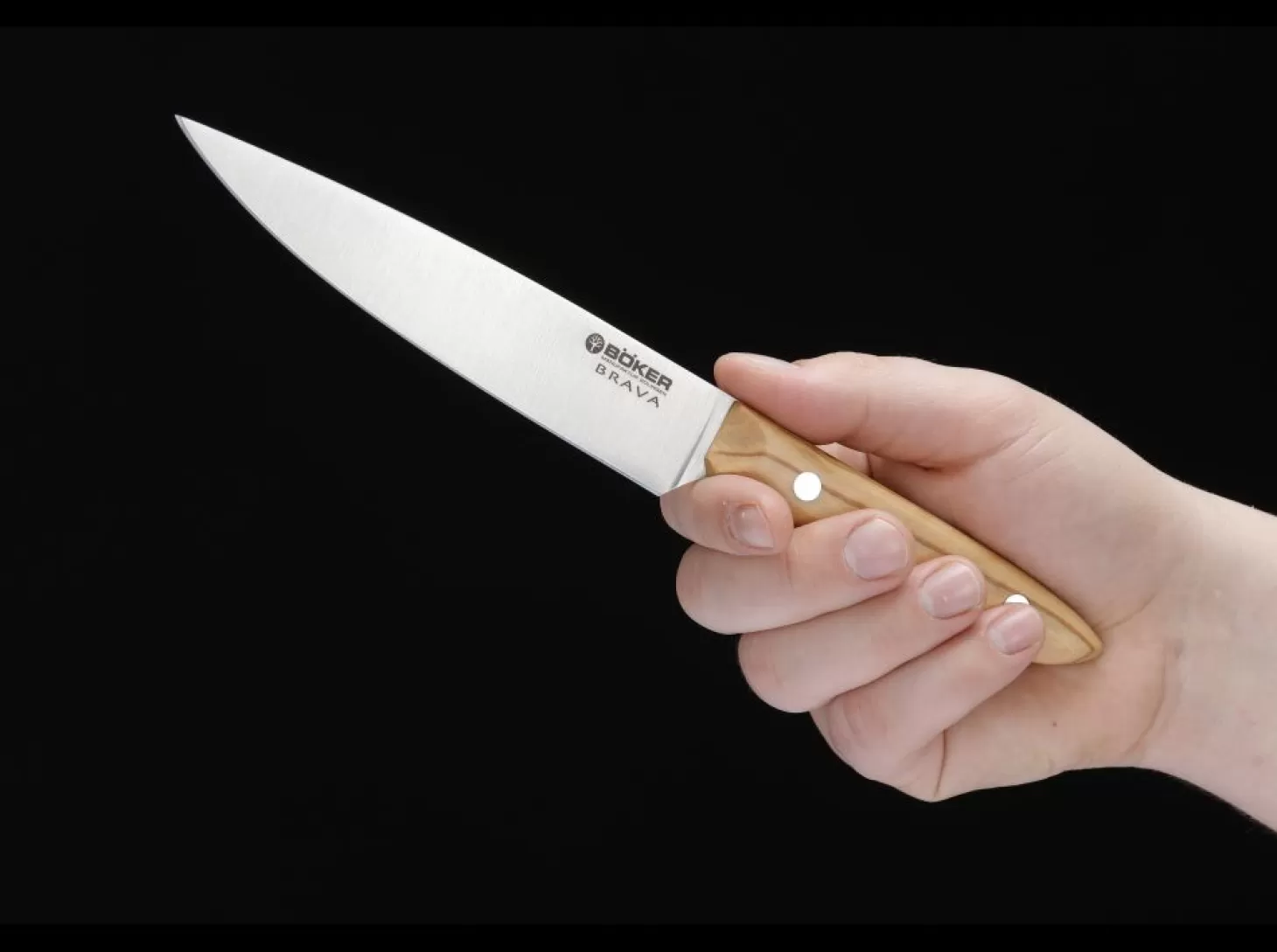 Shop Brava Allzweckmesser Universalmesser